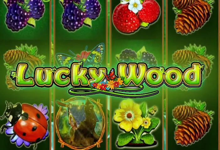 Adil oyun Aquawin Casino Güvenlik ve Lisans Detayları