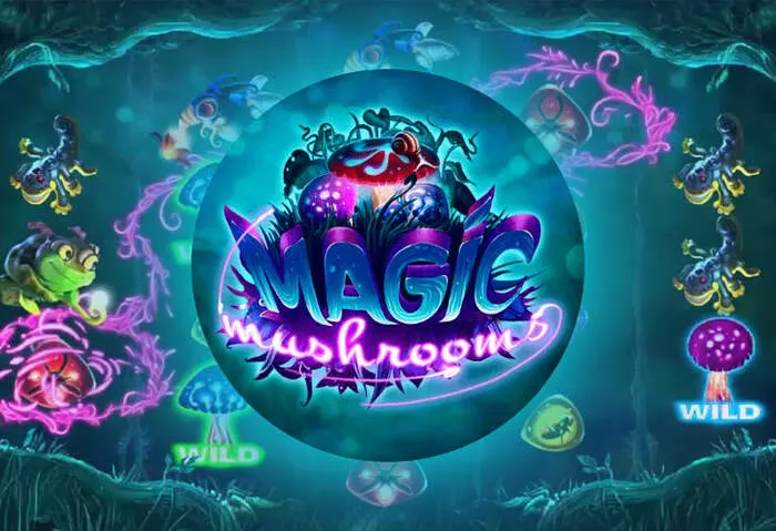 Aquawin Casino Login & Registration welcome bonus.