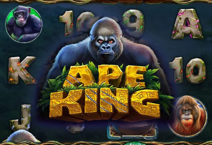 Aquawin casino blackjack masa stratejisi.